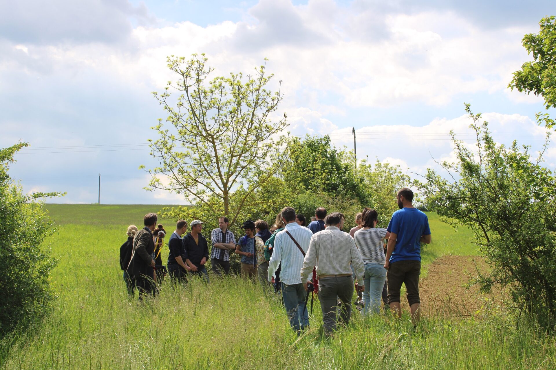 équipe de l'Association Française d'Agroforesterie