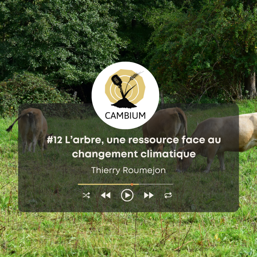 Vignette de l'épisode 12 de Cambium avec Thierry Roumejon.