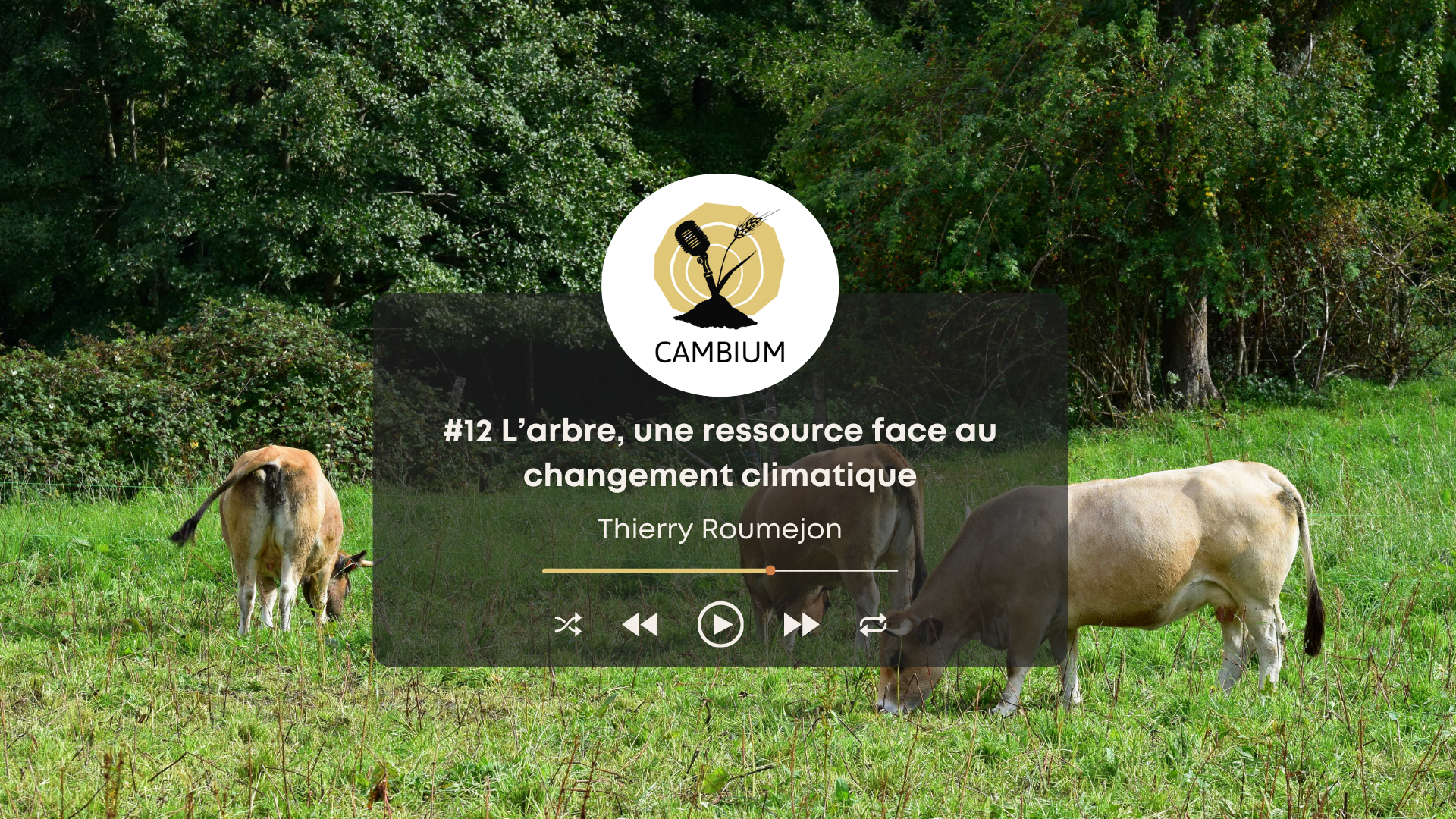 Vignette de l'épisode 12 de Cambium avec Thierry Roumejon.