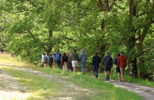 Groupe sur un chemin